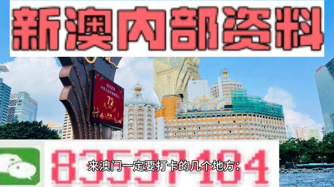 2025-2024全年新澳门与香港夭夭好彩,综合研究解释落实