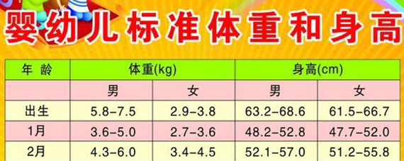 关于5个月宝宝标准体重的探讨