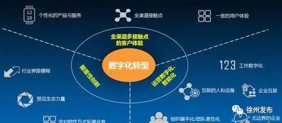 江苏金坐标信息科技，引领数字化转型的先锋力量