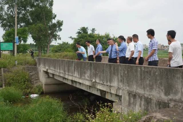 广东省环保检查，守护绿水青山的南方行动