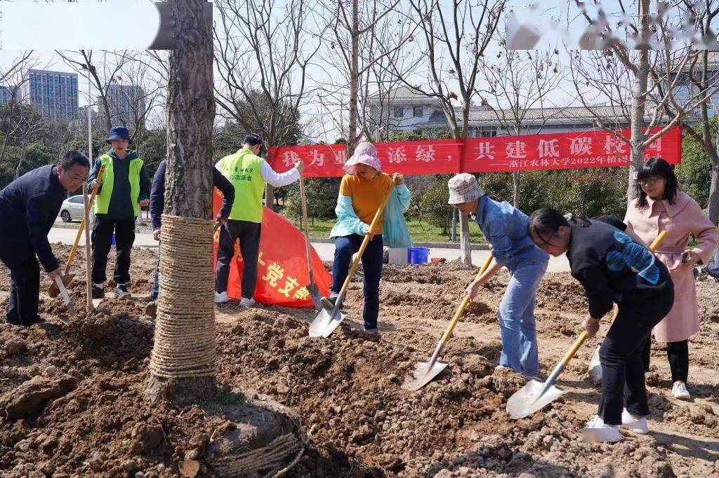 江苏科技大学植树活动，播种绿色希望，共筑美好未来