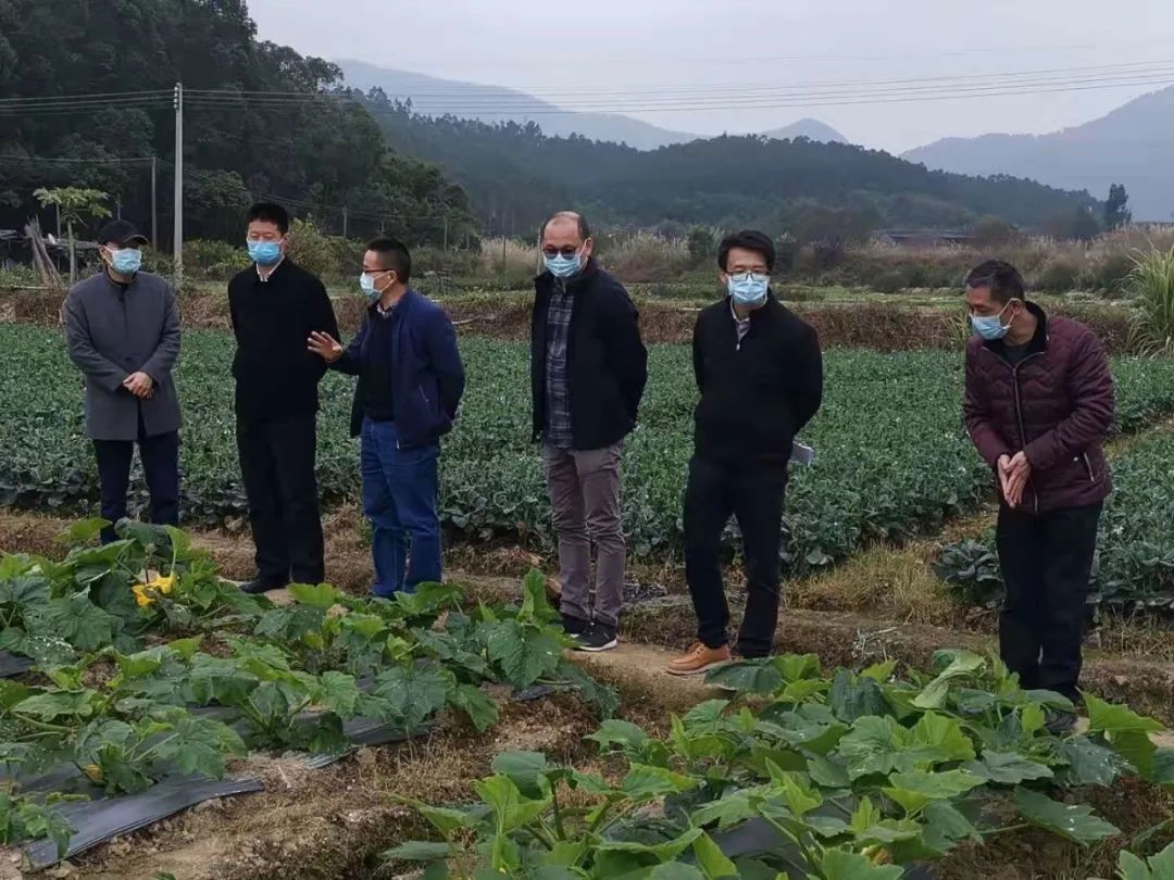 广东省农业农村防疫措施，筑牢农村防线，保障农业丰收