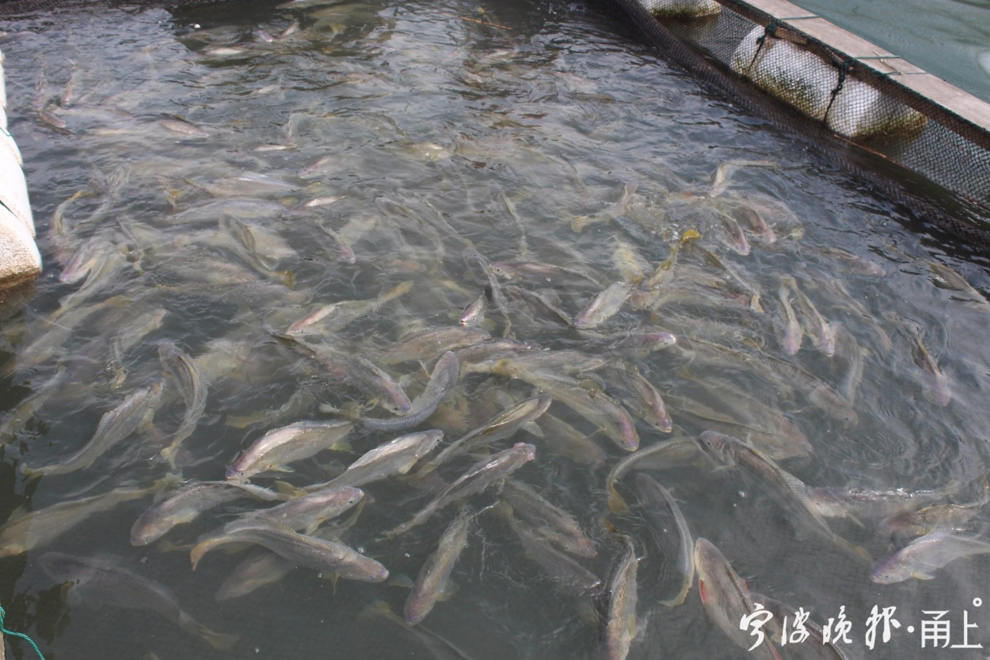 东海县江苏科技大学地址——探索与发现