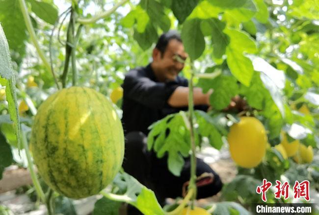 以色列面积与广东省的比较，地理视角下的探究