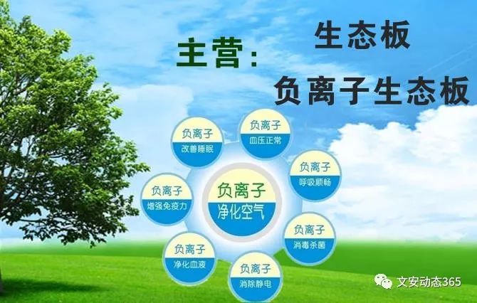 广东环保净化有限公司，引领环保净化新潮流